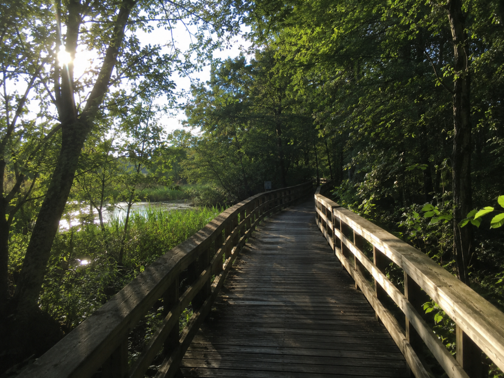 Finding clarity before making an important relationship decision